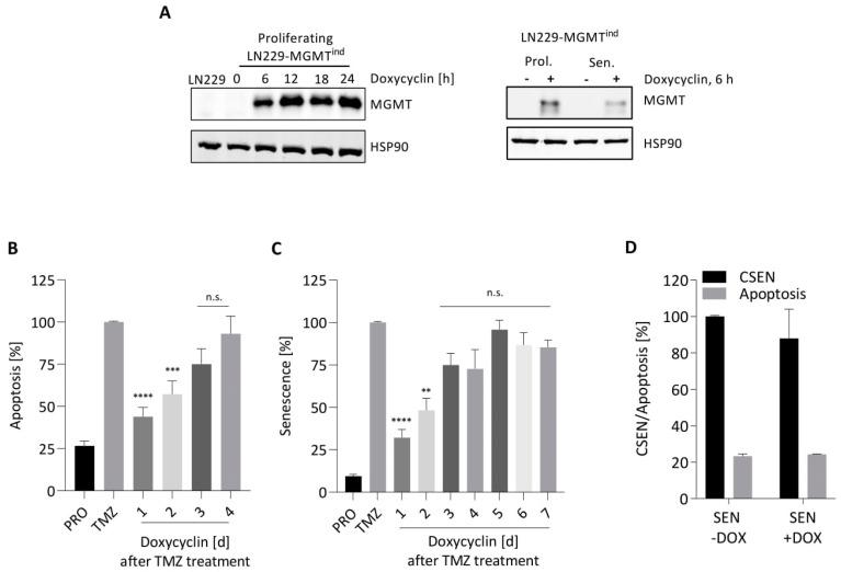 https://cdn.ncbi.nlm.nih.gov/pmc/blobs/5eca/9102829/03a0a458a5ea/cancers-14-02233-g005.jpg