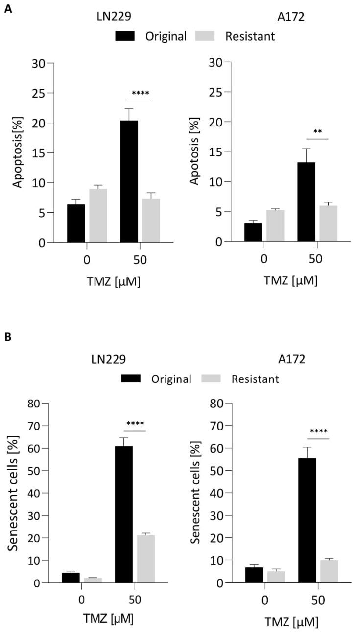 https://cdn.ncbi.nlm.nih.gov/pmc/blobs/5eca/9102829/07f50837629b/cancers-14-02233-g007.jpg