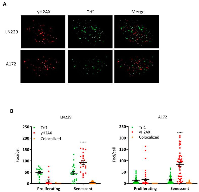 https://cdn.ncbi.nlm.nih.gov/pmc/blobs/5eca/9102829/2ababeb93fde/cancers-14-02233-g003.jpg