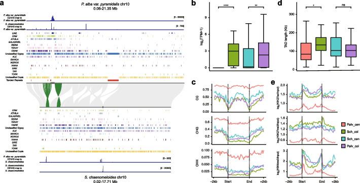 https://cdn.ncbi.nlm.nih.gov/pmc/blobs/5ece/12046899/73731063ffeb/13059_2025_3578_Fig6_HTML.jpg