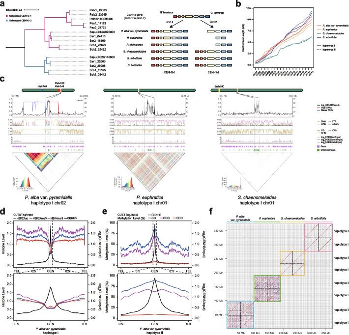 https://cdn.ncbi.nlm.nih.gov/pmc/blobs/5ece/12046899/99b49a6a6c1c/13059_2025_3578_Fig2_HTML.jpg