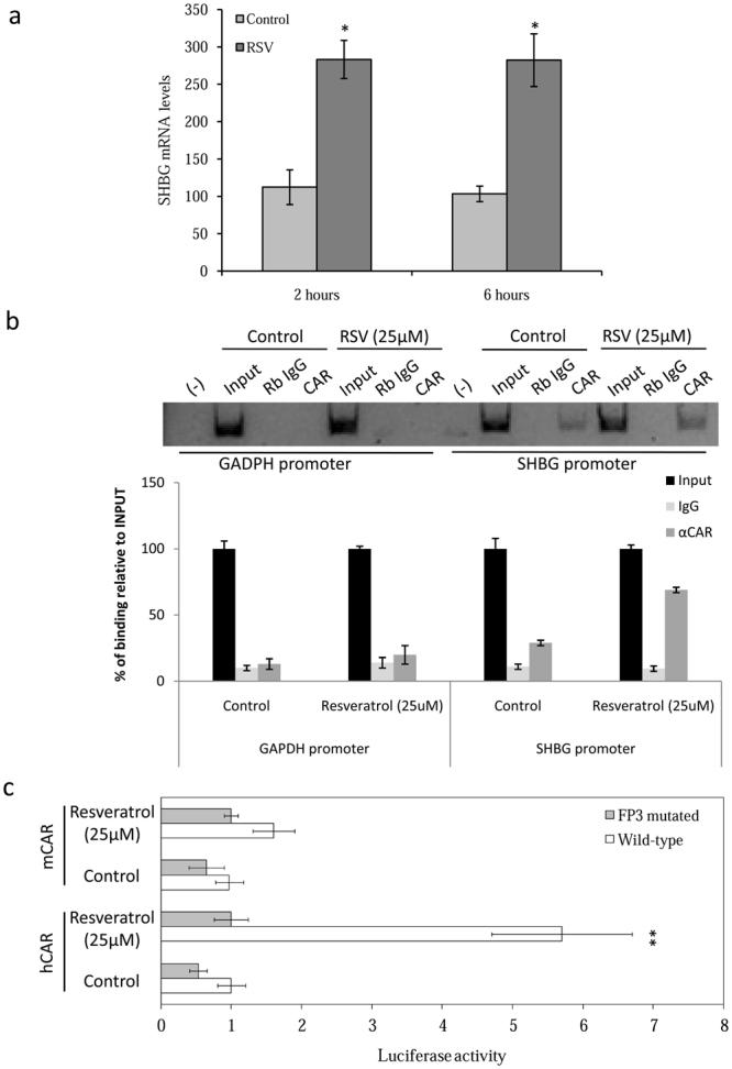 https://cdn.ncbi.nlm.nih.gov/pmc/blobs/5ece/5612985/20dd474dff9a/41598_2017_12509_Fig5_HTML.jpg