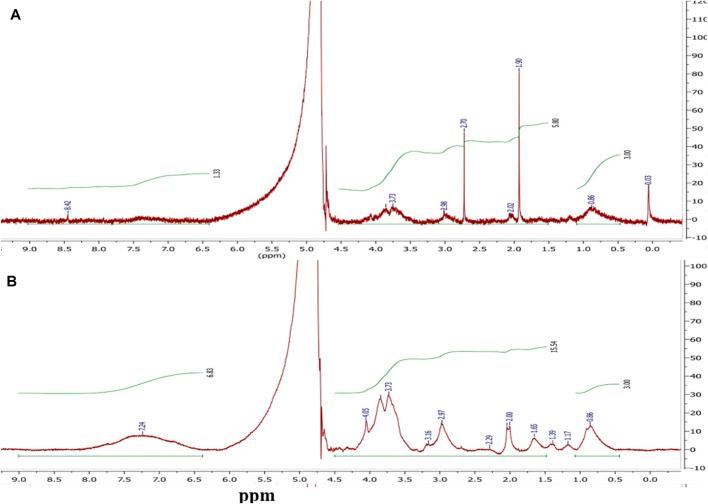 https://cdn.ncbi.nlm.nih.gov/pmc/blobs/5ed0/8980280/e0a079fedaa5/fchem-10-847573-g001.jpg