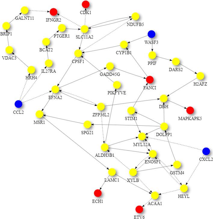 https://cdn.ncbi.nlm.nih.gov/pmc/blobs/5ed0/9022338/c996e127d4e7/12859_2022_4662_Fig5_HTML.jpg