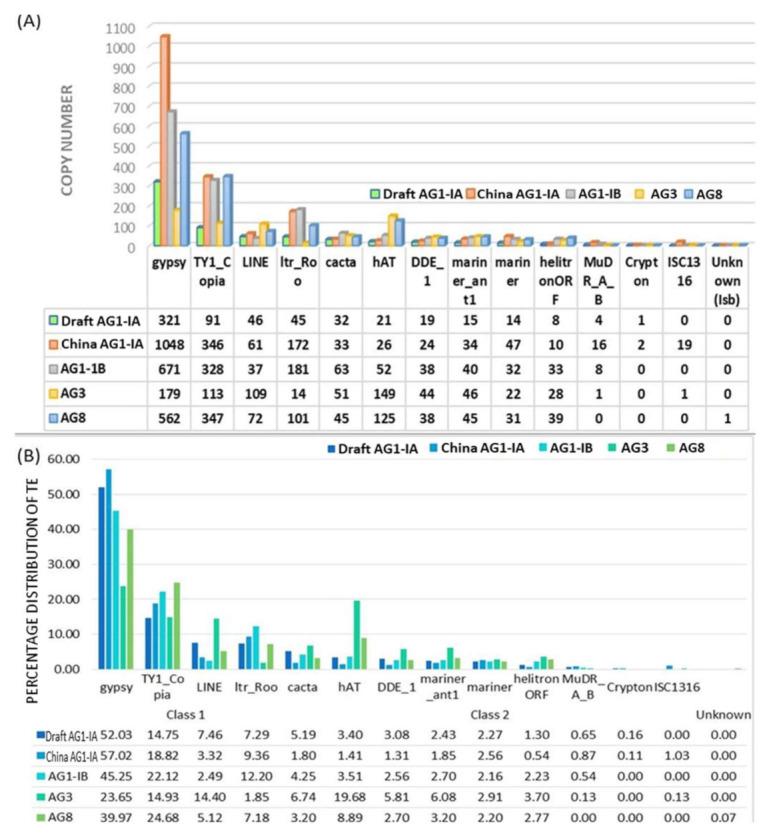 https://cdn.ncbi.nlm.nih.gov/pmc/blobs/5ed2/7926851/bdded2531f09/ijms-22-02183-g001.jpg