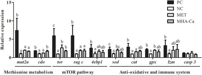 https://cdn.ncbi.nlm.nih.gov/pmc/blobs/5ed3/9923173/4308c44f1b6f/fphys-14-1067354-g002.jpg