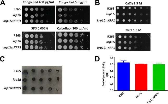 https://cdn.ncbi.nlm.nih.gov/pmc/blobs/5ed7/5917426/96ff74002766/sph0021825240003.jpg