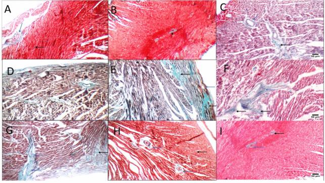 https://cdn.ncbi.nlm.nih.gov/pmc/blobs/5ed8/11422279/64beb1a16b13/210_2024_3073_Fig4_HTML.jpg