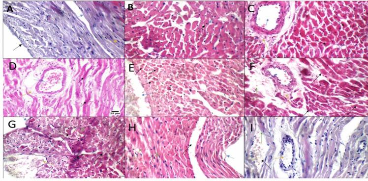 https://cdn.ncbi.nlm.nih.gov/pmc/blobs/5ed8/11422279/9402cc24e202/210_2024_3073_Fig3_HTML.jpg