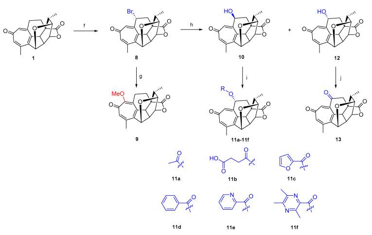 https://cdn.ncbi.nlm.nih.gov/pmc/blobs/5ed8/7961763/47f10634b7ea/molecules-26-01380-sch004.jpg