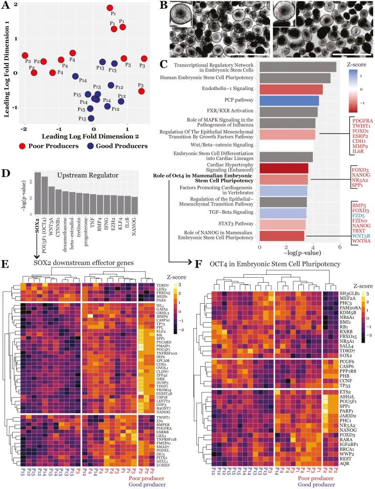 https://cdn.ncbi.nlm.nih.gov/pmc/blobs/5ed9/10267581/bd2eb8f01ccd/szad028_fig3.jpg