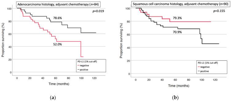https://cdn.ncbi.nlm.nih.gov/pmc/blobs/5ed9/8122862/bff696d184f4/cancers-13-02046-g004.jpg