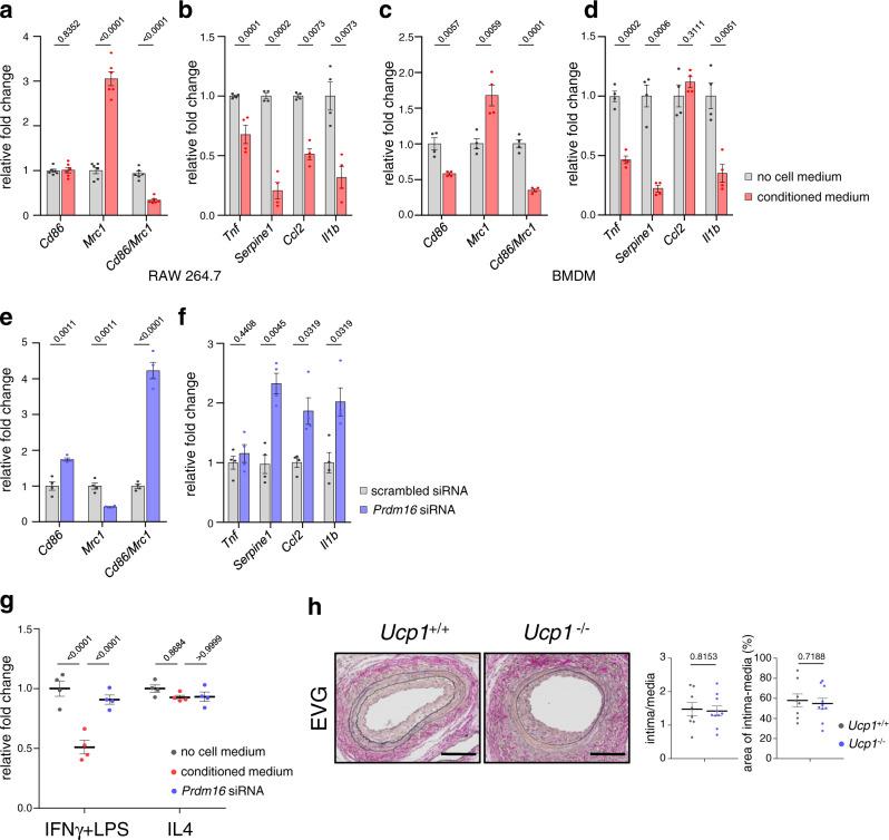 https://cdn.ncbi.nlm.nih.gov/pmc/blobs/5ed9/9452496/860ae82396eb/41467_2022_32658_Fig3_HTML.jpg