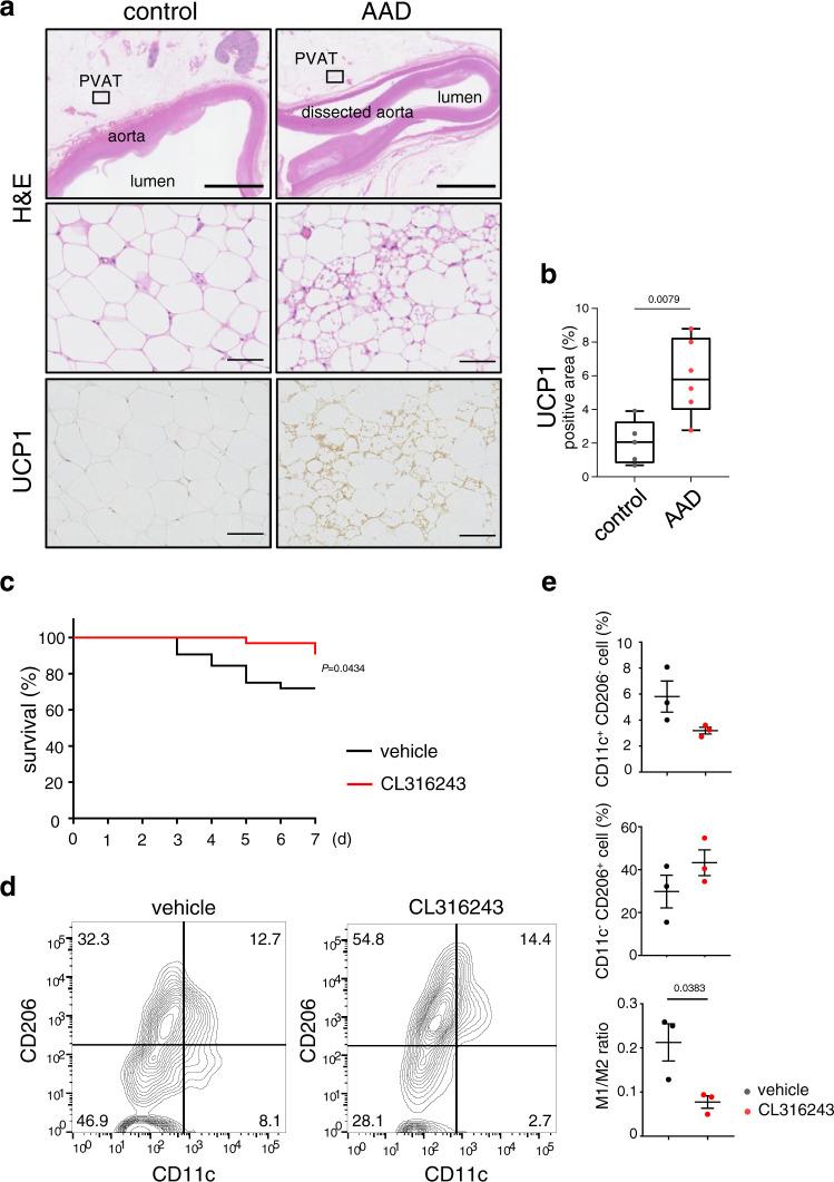 https://cdn.ncbi.nlm.nih.gov/pmc/blobs/5ed9/9452496/c57660e1a2cd/41467_2022_32658_Fig5_HTML.jpg
