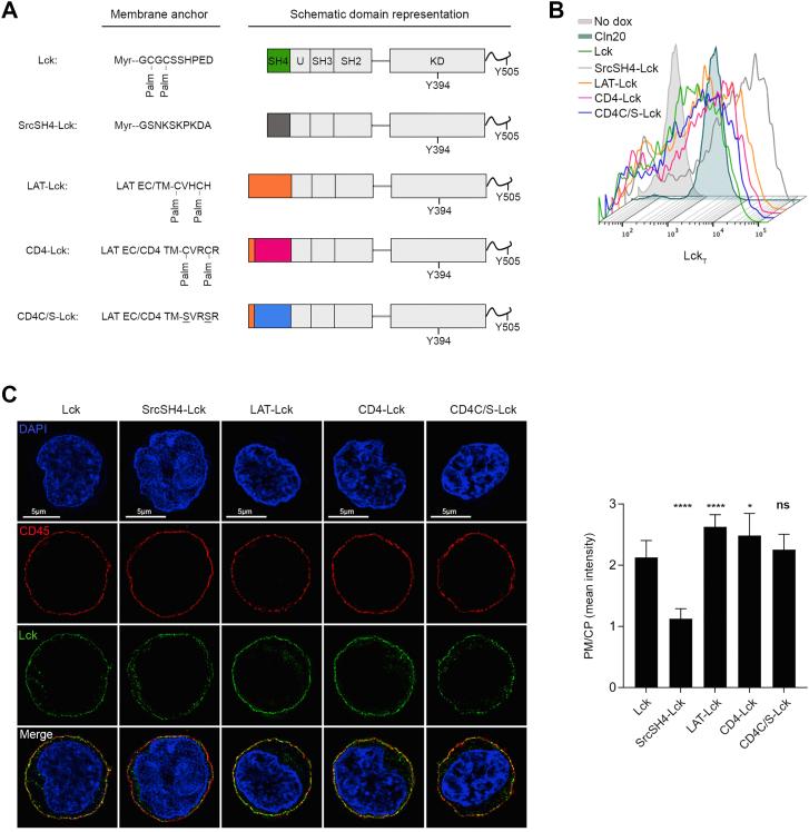 https://cdn.ncbi.nlm.nih.gov/pmc/blobs/5ed9/9763865/1ebf1bd7c7a5/gr3.jpg