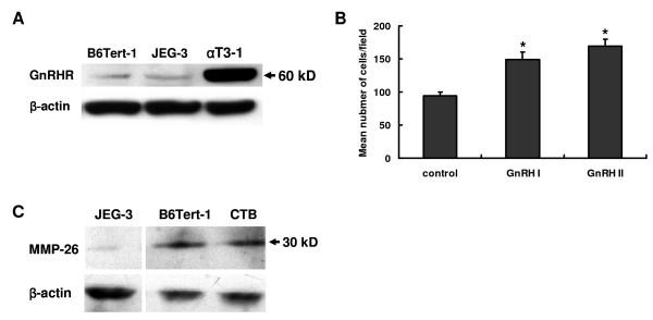 https://cdn.ncbi.nlm.nih.gov/pmc/blobs/5eda/2819245/8a13c5509c85/1477-7827-8-5-1.jpg