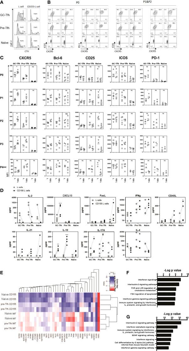 https://cdn.ncbi.nlm.nih.gov/pmc/blobs/5edc/8902812/4cd7d2b5354e/fimmu-13-840457-g005.jpg