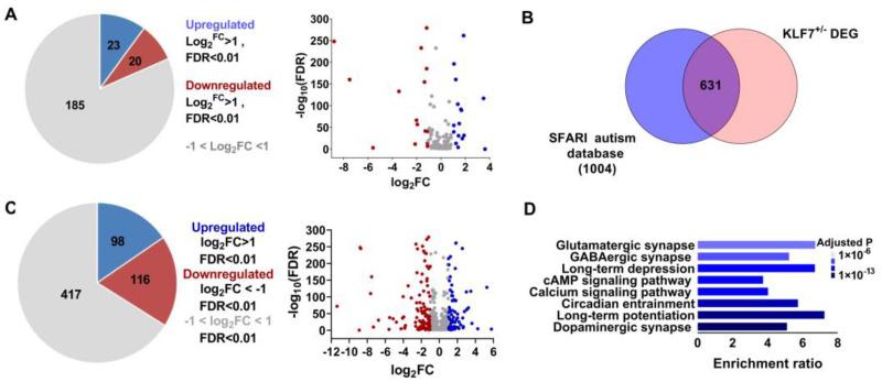 https://cdn.ncbi.nlm.nih.gov/pmc/blobs/5ede/8949233/7894e1830350/ijms-23-03376-g003.jpg