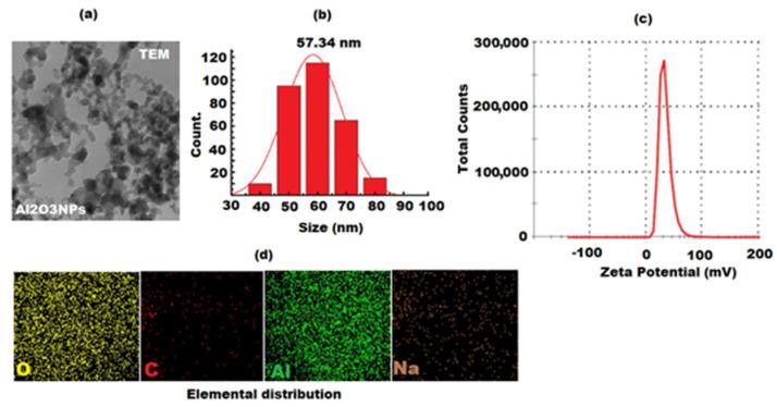 https://cdn.ncbi.nlm.nih.gov/pmc/blobs/5edf/9182307/d148ab66548a/nanomaterials-12-01885-g004.jpg