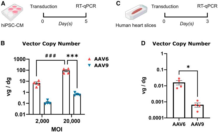 https://cdn.ncbi.nlm.nih.gov/pmc/blobs/5ee0/12329528/5a0a8da02295/gr6.jpg