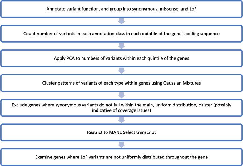 https://cdn.ncbi.nlm.nih.gov/pmc/blobs/5ee5/11046769/dd116a442b0a/13073_2024_1333_Fig1_HTML.jpg