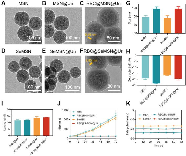 https://cdn.ncbi.nlm.nih.gov/pmc/blobs/5ee5/11746906/1597cc24e8ea/fbioe-12-1520663-g002.jpg