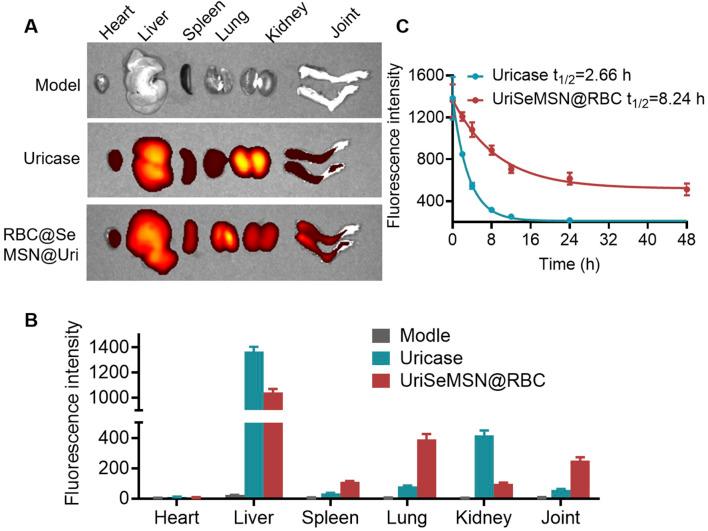 https://cdn.ncbi.nlm.nih.gov/pmc/blobs/5ee5/11746906/347a38c5818e/fbioe-12-1520663-g007.jpg