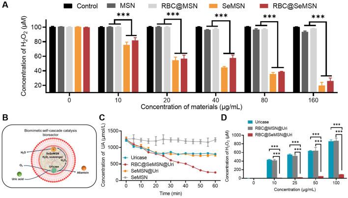 https://cdn.ncbi.nlm.nih.gov/pmc/blobs/5ee5/11746906/3f0cb50ebc7b/fbioe-12-1520663-g003.jpg