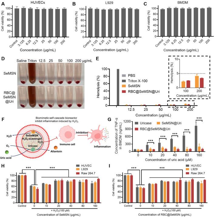 https://cdn.ncbi.nlm.nih.gov/pmc/blobs/5ee5/11746906/4e835db4b334/fbioe-12-1520663-g004.jpg