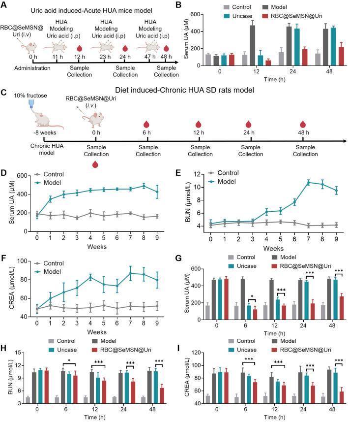 https://cdn.ncbi.nlm.nih.gov/pmc/blobs/5ee5/11746906/f74d5244fd88/fbioe-12-1520663-g005.jpg