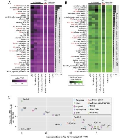 https://cdn.ncbi.nlm.nih.gov/pmc/blobs/5ee8/4248310/006c8af5764b/1918fig4.jpg