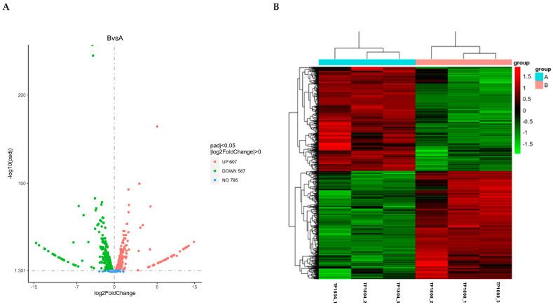 https://cdn.ncbi.nlm.nih.gov/pmc/blobs/5ee9/11854922/4d627991a0a6/ijms-26-01490-g003.jpg