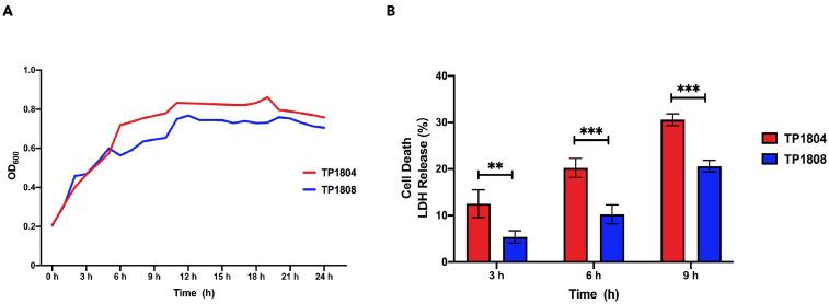 https://cdn.ncbi.nlm.nih.gov/pmc/blobs/5ee9/11854922/ed06f55abc3a/ijms-26-01490-g001.jpg