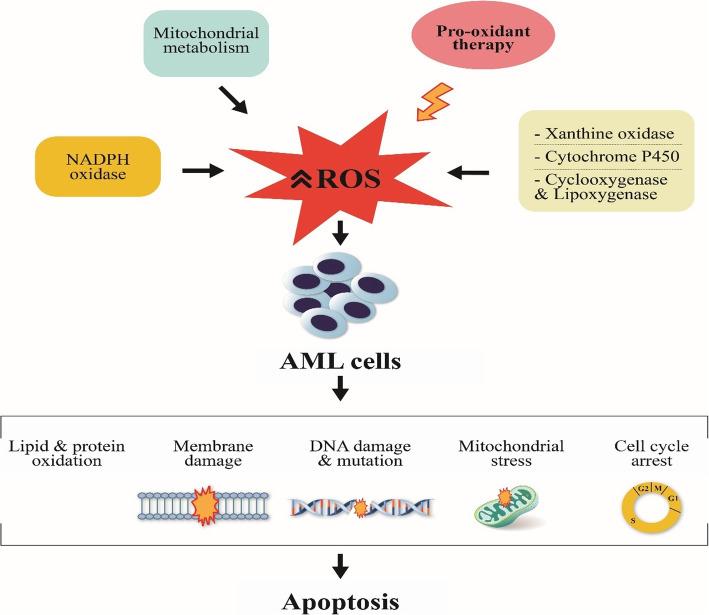 https://cdn.ncbi.nlm.nih.gov/pmc/blobs/5ee9/7661181/f5e68a4fb80e/40364_2020_242_Fig2_HTML.jpg
