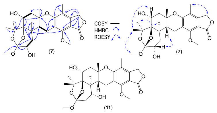 https://cdn.ncbi.nlm.nih.gov/pmc/blobs/5ef1/8659017/53697cdd85c6/molecules-26-07144-g007.jpg