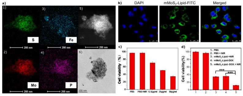 https://cdn.ncbi.nlm.nih.gov/pmc/blobs/5ef3/12155818/23ffae6cb200/materials-18-02570-g004.jpg