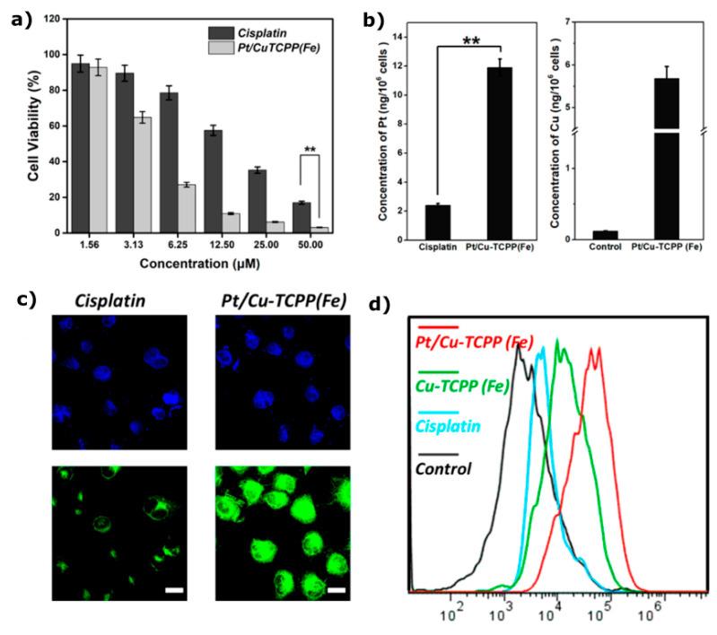 https://cdn.ncbi.nlm.nih.gov/pmc/blobs/5ef3/12155818/7d1adba4e767/materials-18-02570-g012.jpg