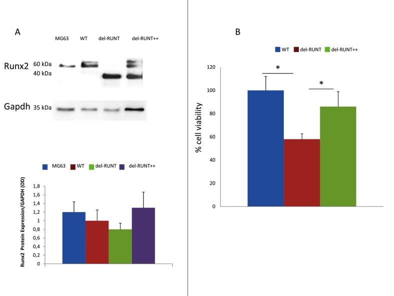 https://cdn.ncbi.nlm.nih.gov/pmc/blobs/5ef4/6262450/27c7e059a9bd/cells-07-00220-g006.jpg