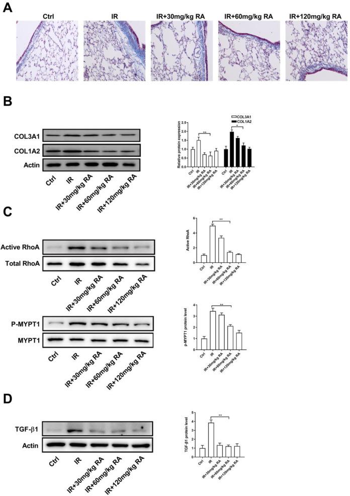 https://cdn.ncbi.nlm.nih.gov/pmc/blobs/5ef5/7580151/0cccb6955399/10.1177_1559325820968413-fig3.jpg