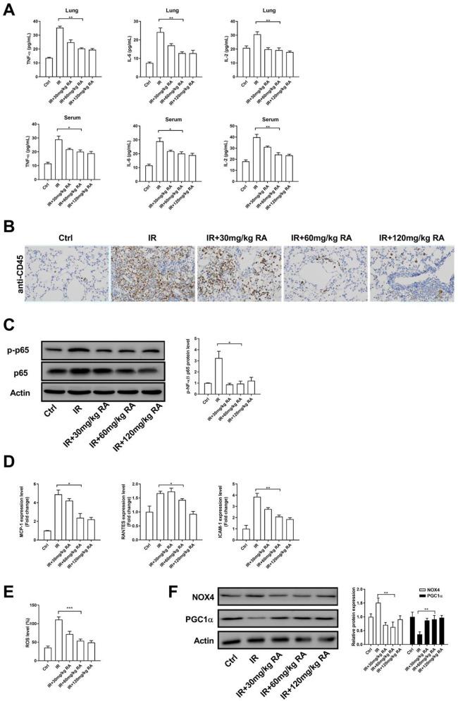 https://cdn.ncbi.nlm.nih.gov/pmc/blobs/5ef5/7580151/bb1369a526ac/10.1177_1559325820968413-fig2.jpg