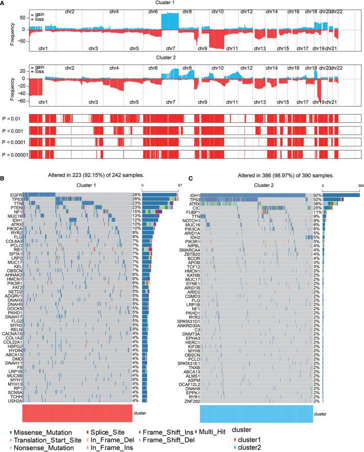 https://cdn.ncbi.nlm.nih.gov/pmc/blobs/5ef6/8095378/0793b4e56f9f/fimmu-12-656541-g004.jpg