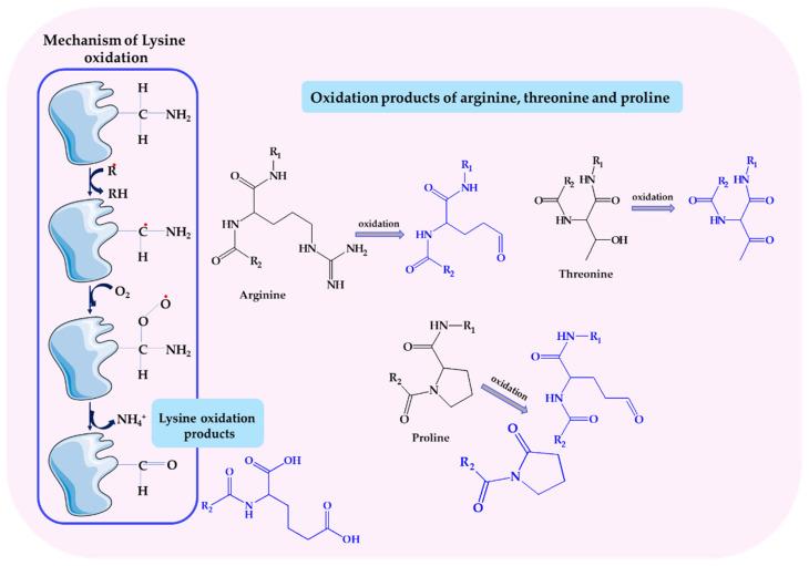 https://cdn.ncbi.nlm.nih.gov/pmc/blobs/5ef9/11430825/38422871da5e/biomolecules-14-01130-g009.jpg