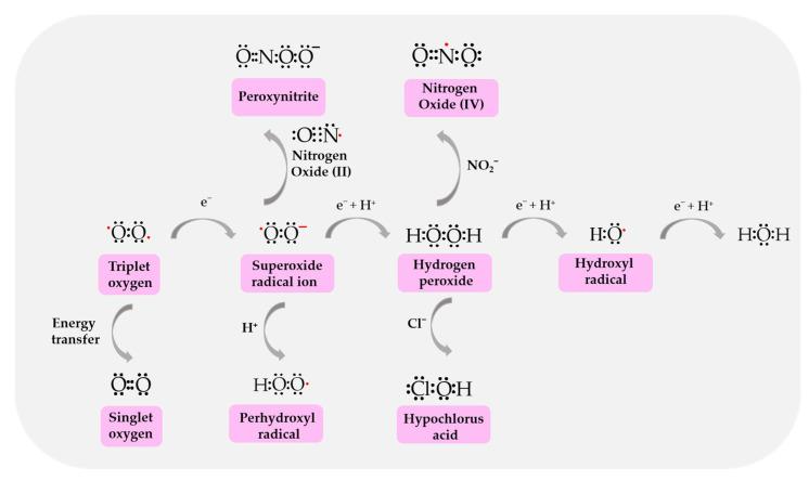 https://cdn.ncbi.nlm.nih.gov/pmc/blobs/5ef9/11430825/5067a38d4fa2/biomolecules-14-01130-g002.jpg