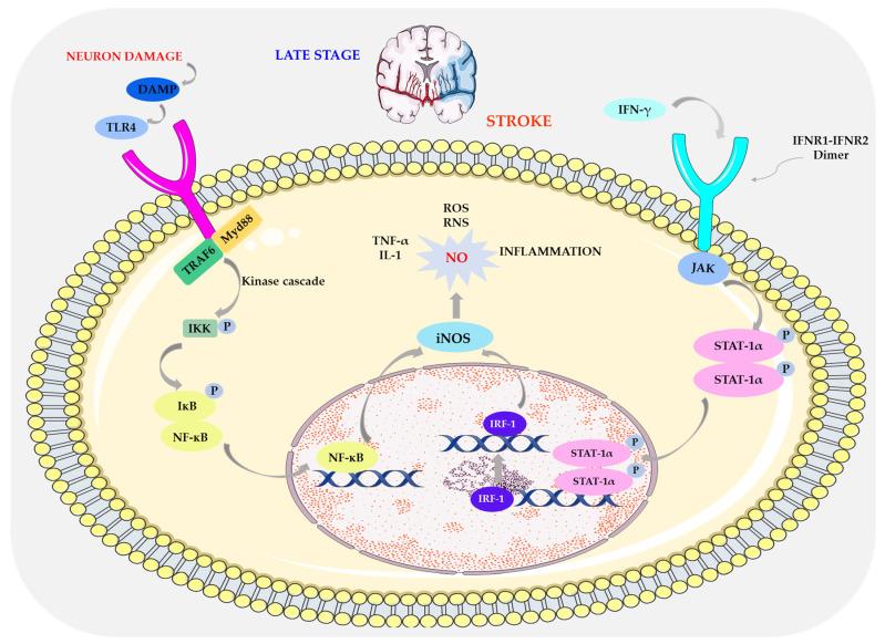 https://cdn.ncbi.nlm.nih.gov/pmc/blobs/5ef9/11430825/8a8b694493e7/biomolecules-14-01130-g008.jpg