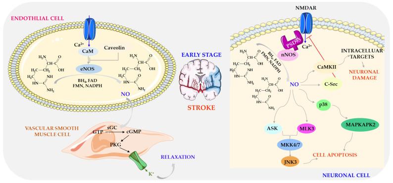 https://cdn.ncbi.nlm.nih.gov/pmc/blobs/5ef9/11430825/9b56239a5e13/biomolecules-14-01130-g007.jpg
