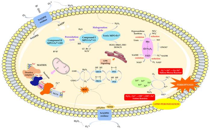 https://cdn.ncbi.nlm.nih.gov/pmc/blobs/5ef9/11430825/fe2521a6d32b/biomolecules-14-01130-g003.jpg