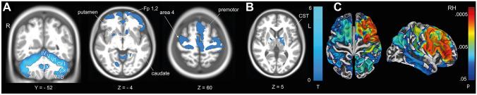 https://cdn.ncbi.nlm.nih.gov/pmc/blobs/5efc/10576698/ff3de79de4ef/415_2023_11859_Fig2_HTML.jpg