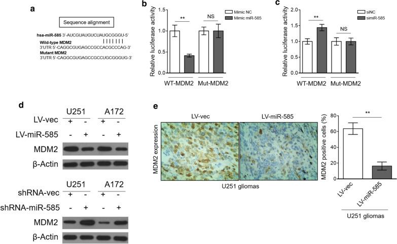 https://cdn.ncbi.nlm.nih.gov/pmc/blobs/5efd/7523344/fd106bc4993d/12935_2020_1528_Fig4_HTML.jpg