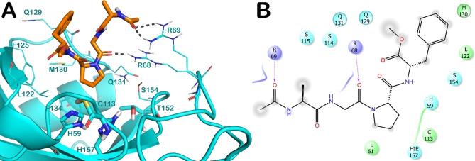 https://cdn.ncbi.nlm.nih.gov/pmc/blobs/5efd/9321596/cf61dfa4496c/CMDC-17-0-g026.jpg