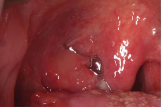 https://cdn.ncbi.nlm.nih.gov/pmc/blobs/5efe/11469955/027f664c331c/41415_2024_7891_Fig3_HTML.jpg
